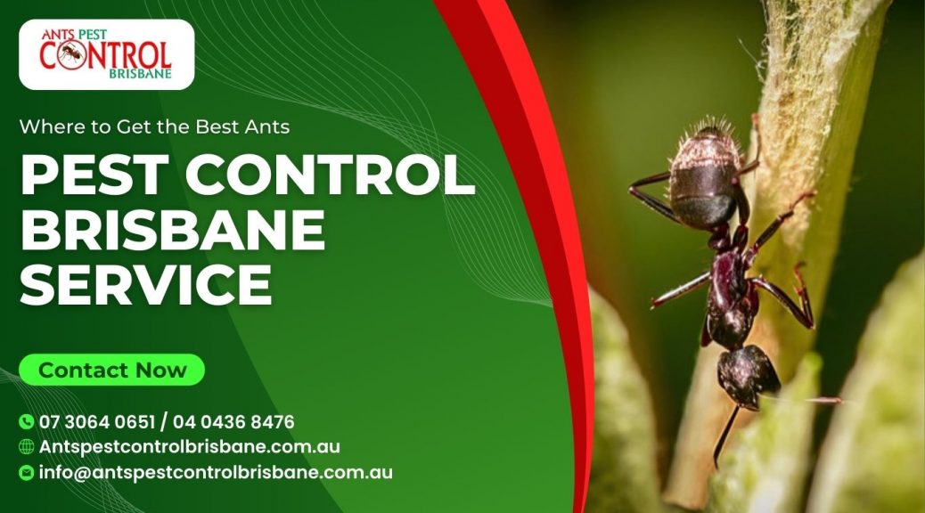 ants pest control near me