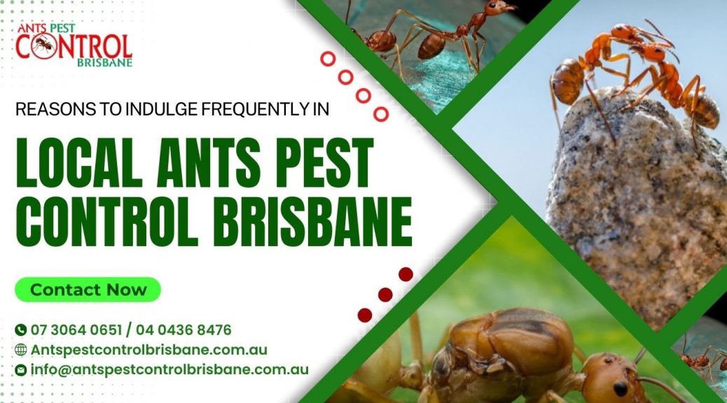ant control company Brisbane