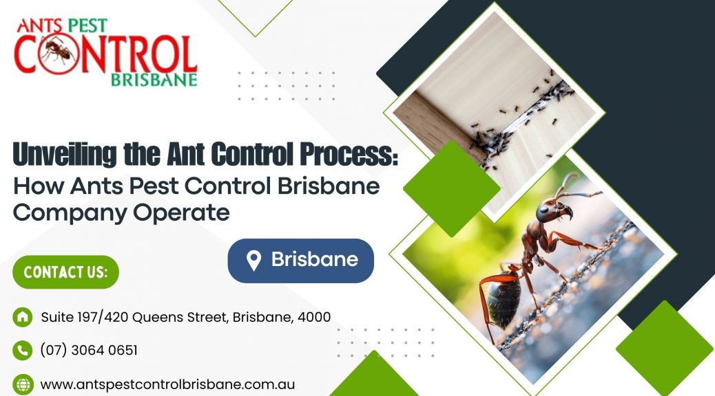 ant control company in Brisbane