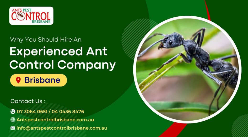 ant control company Brisbane