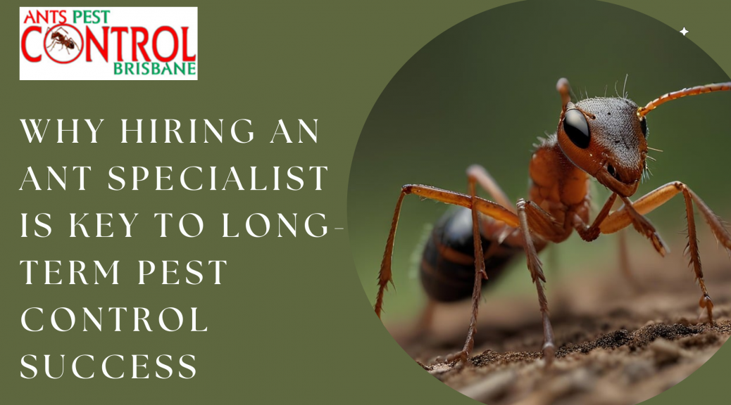 Why Hiring an Ant Specialist Is Key to Long-Term Pest Control Success