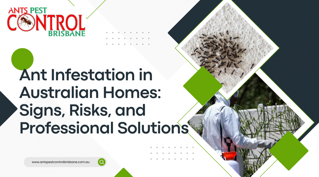 Ant Infestation in Australian Homes: Signs, Risks, and Professional Solutions